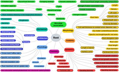 A systematic review of studies on fine and coarse root traits measurement: towards the enhancement of urban forests monitoring and management